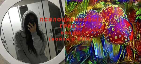 первитин Березники