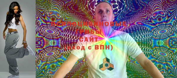 ешки Ладушкин