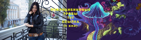 ешки Ладушкин