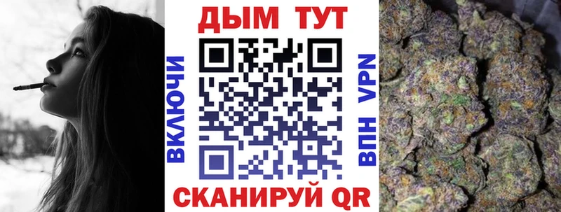 Шишки марихуана марихуана мега tor Чадан